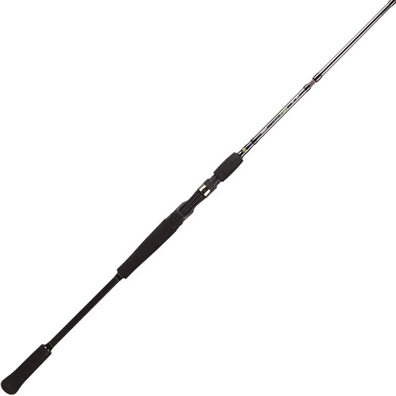 CANNE CASTING BFT RAPTOR G2 JERKBAIT 3 CANNE CASTING BFT RAPTOR G2 JERKBAIT