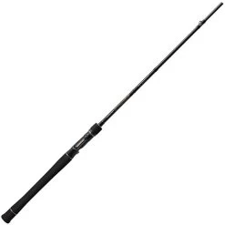 CANNE CASTING EVER GREEN THE WILD SHOOTER