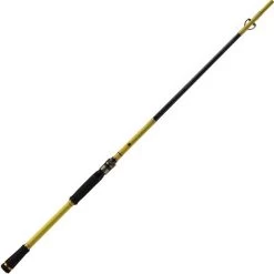 CANNE SPINNING MAJOR CRAFT BENKEI FRANCE LIMITED EDITION 1+1