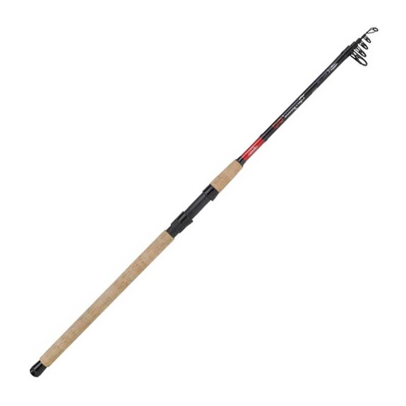 CANNE SPINNING TÉLESCOPIQUE BERKLEY CHERRYWOOD SPEZI TROUT TELE ROD 3 CANNE SPINNING TÉLESCOPIQUE BERKLEY CHERRYWOOD SPEZI TROUT TELE ROD