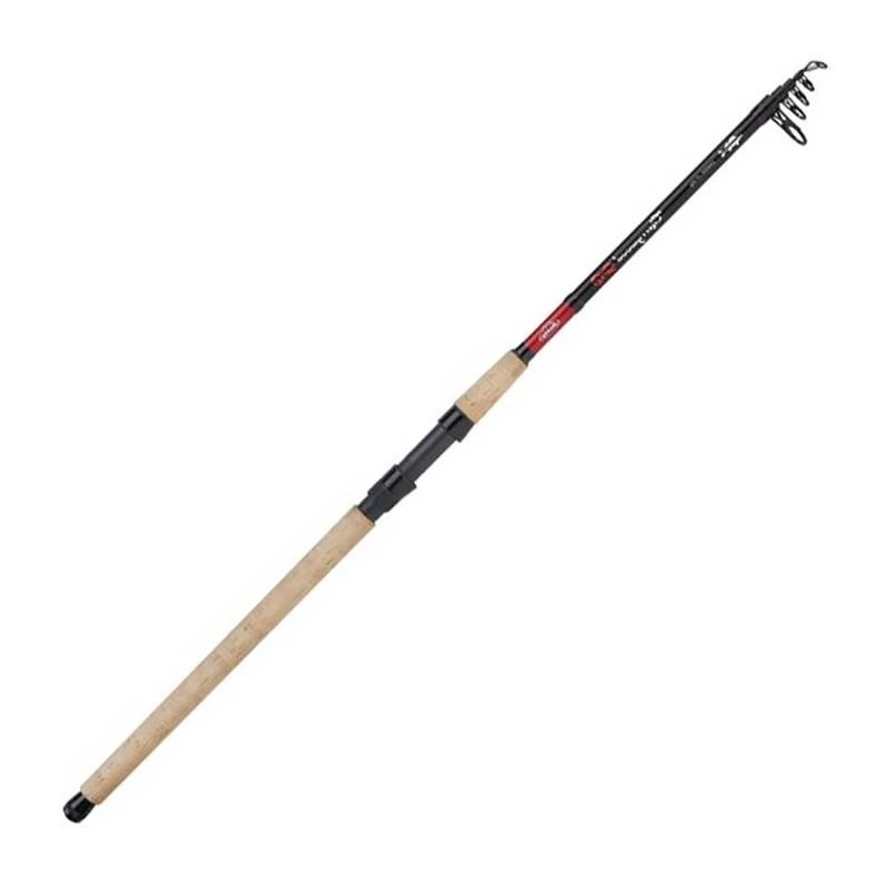 CANNE SPINNING TÉLESCOPIQUE BERKLEY CHERRYWOOD SPEZI ZANDER TELE ROD 3 CANNE SPINNING TÉLESCOPIQUE BERKLEY CHERRYWOOD SPEZI ZANDER TELE ROD