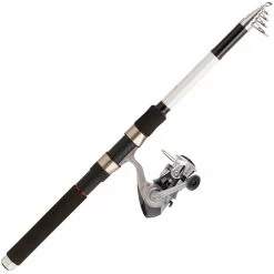 ENSEMBLE SPINNING DAIWA SET BUSCLE