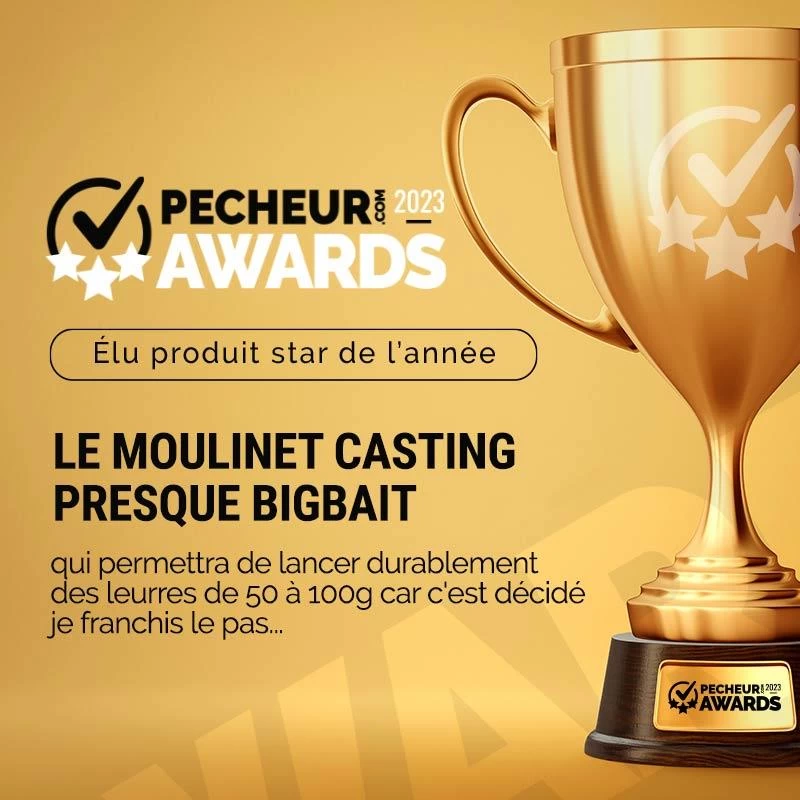 MOULINET CASTING DAIWA TATULA TWS 300 4 MOULINET CASTING DAIWA TATULA TWS 300 – Image 2