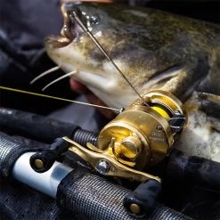 MOULINET CASTING SHIMANO CALCUTTA CONQUEST -Matériel De Pêche moulinet casting shimano calcutta conquest z 1492 149266 4